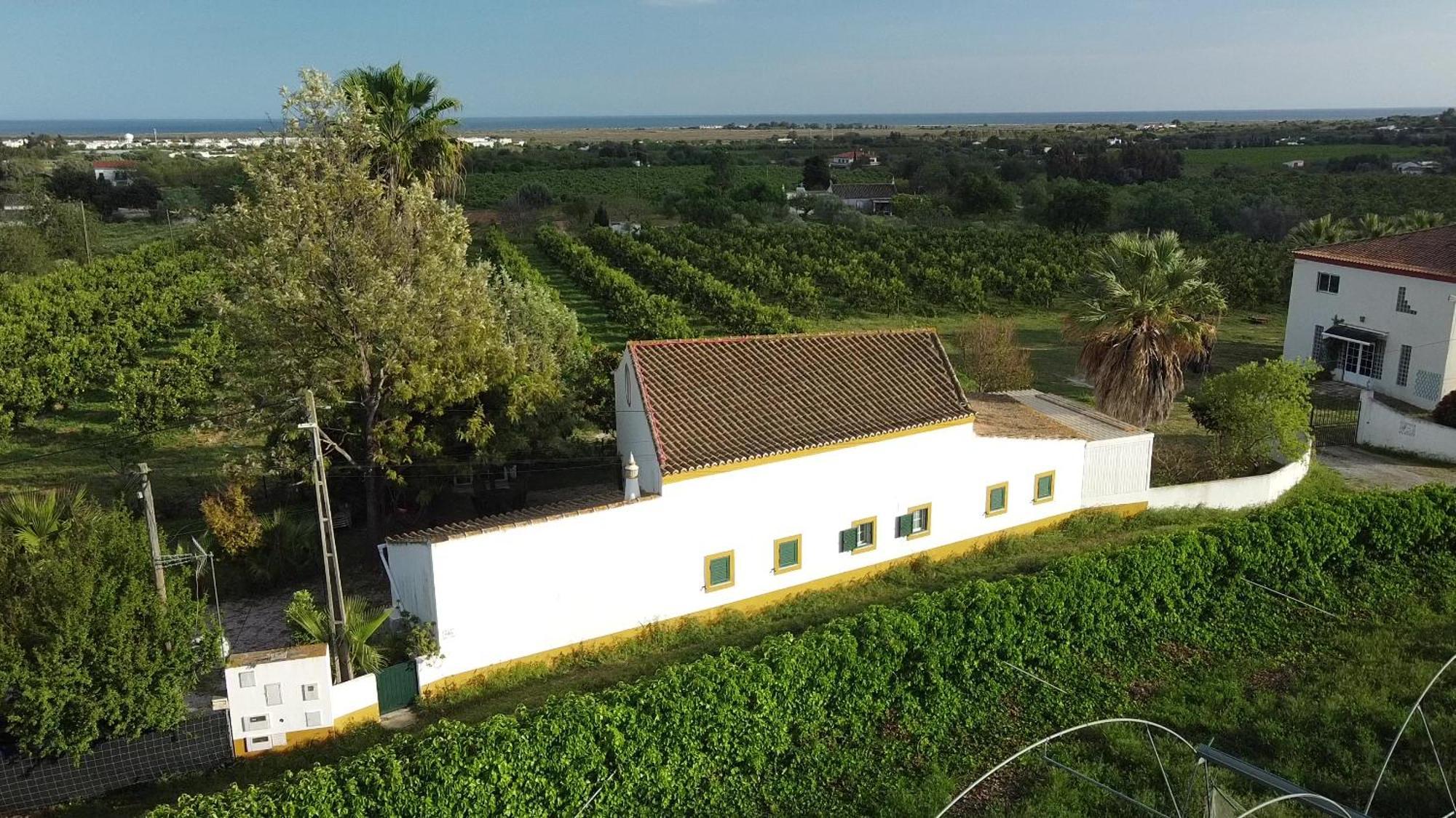 Quinta Rosa Branca Hotel Тавира Екстериор снимка